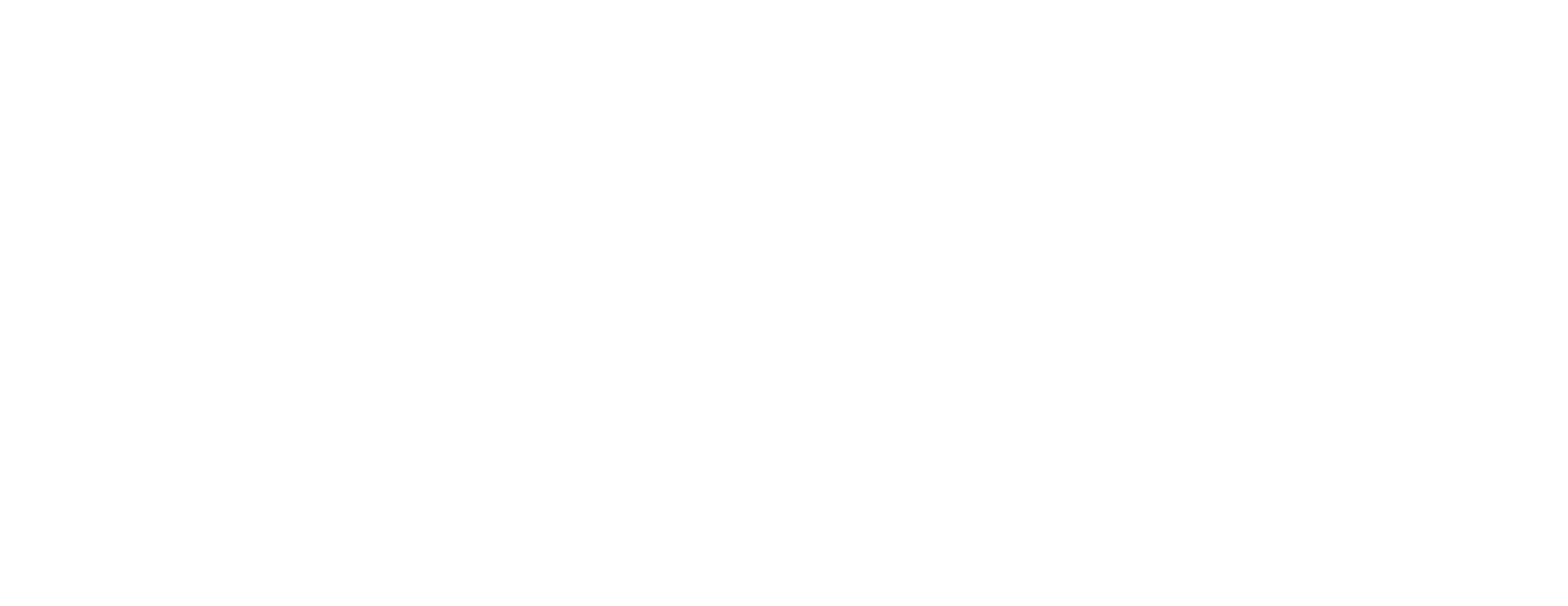 TSEi